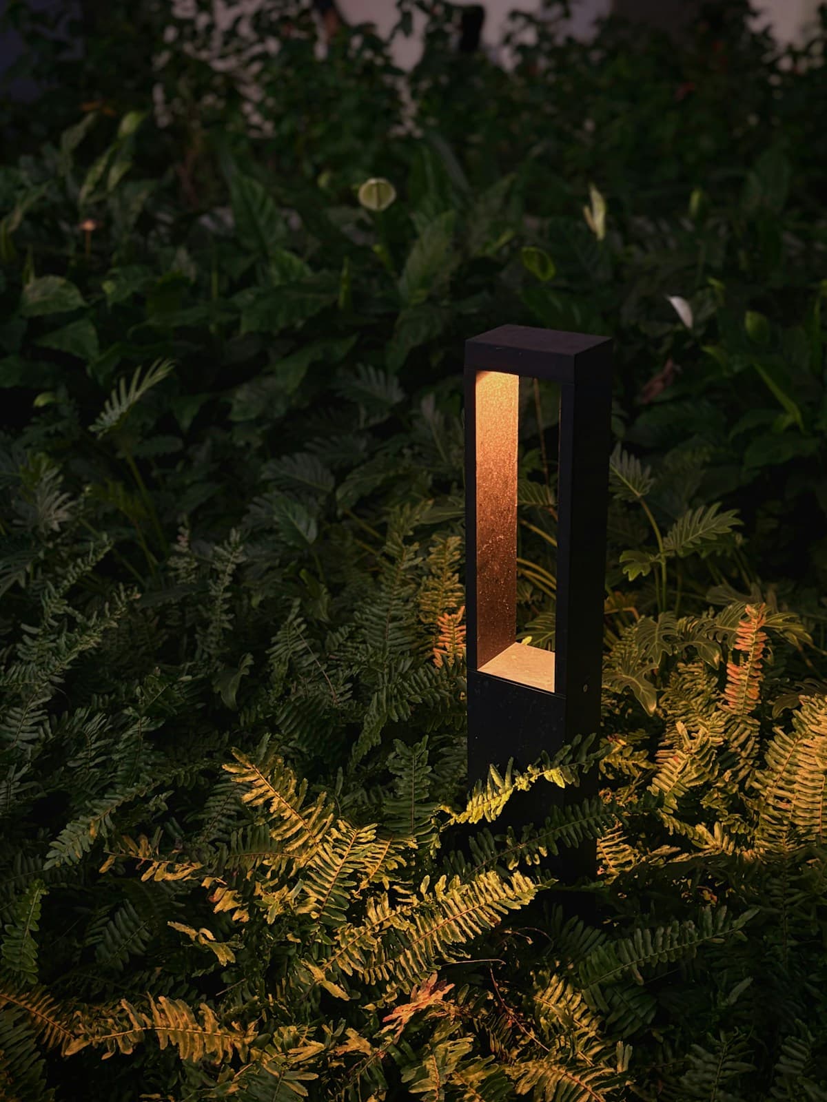 Low-Voltage Landscape Lighting: How to Light Your SWFL Yard Without Overdoing It